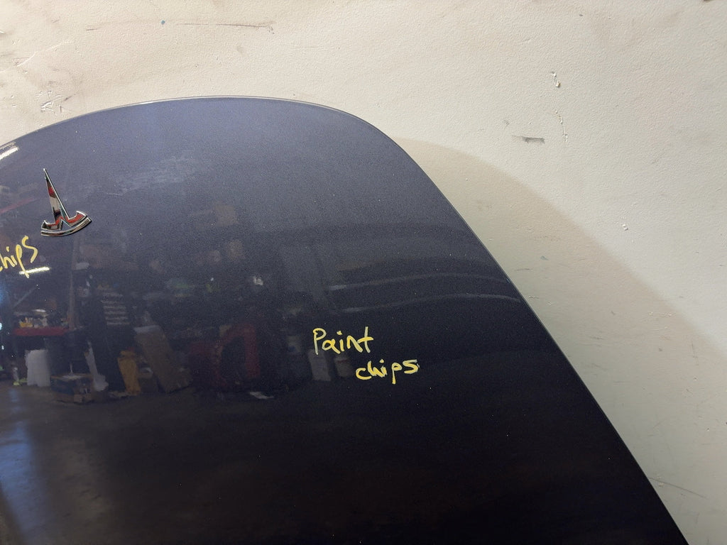 2020-2023 Tesla Model 3 Hood 1081390-E0-C - photo 4